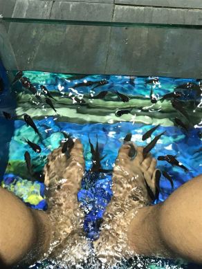 Fish Feet.jpg