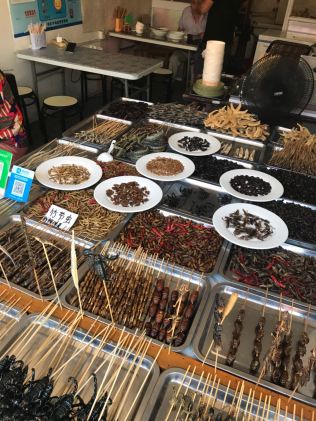 Werid bugs to eat.jpg